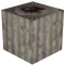 Cactus.png