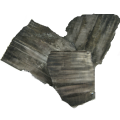 Thumbnail for version as of 11:42, 15 August 2018