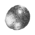 Thumbnail for version as of 17:48, 24 May 2018